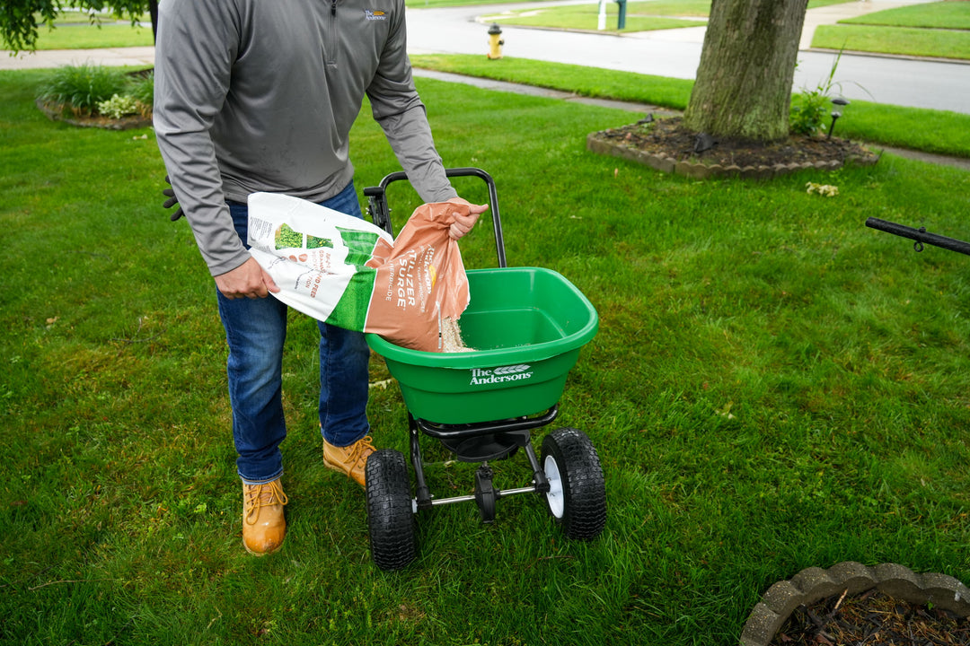 Weed and Feeds: The Lawn Care Win-Win