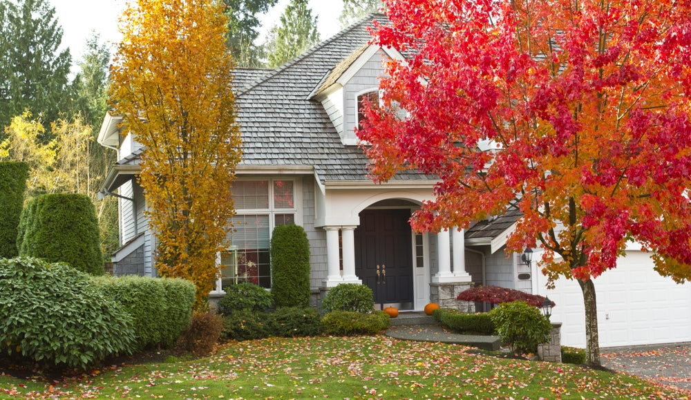 10 Tips For Fall Lawn Care