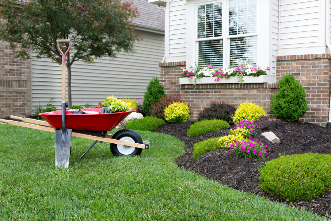 Prepping Your Lawn For Spring