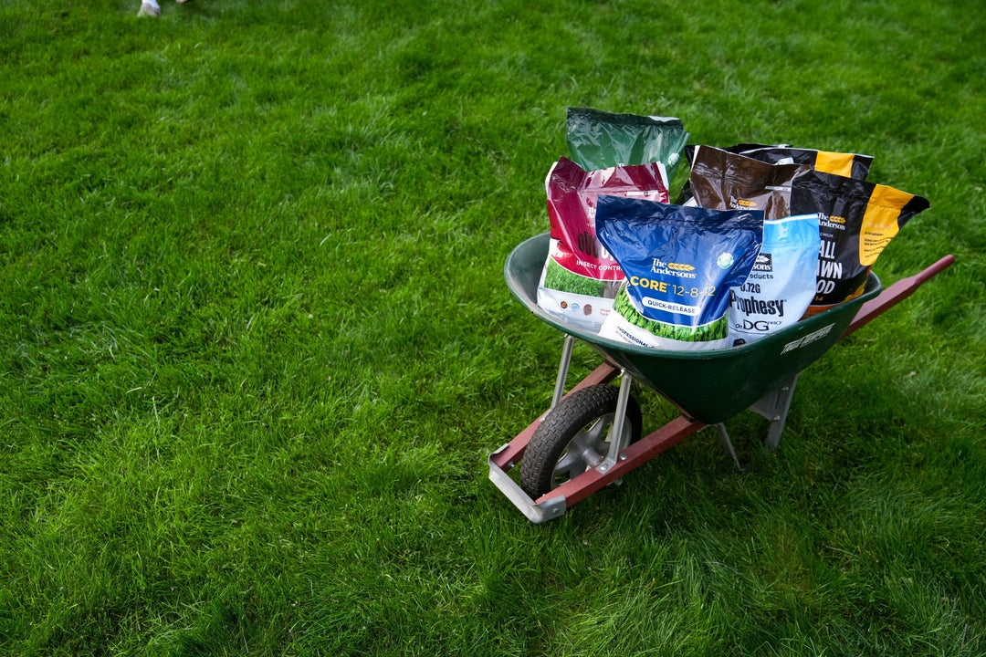 End-of-Summer Lawn Care Guide