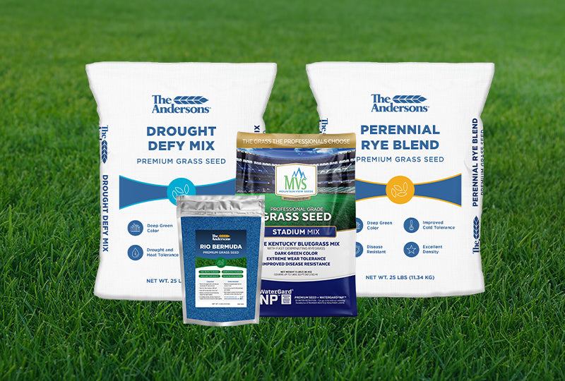 The Andersons Premium Grass Seed