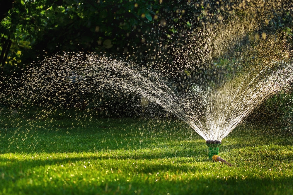 10 Best Practices for Watering Your Lawn