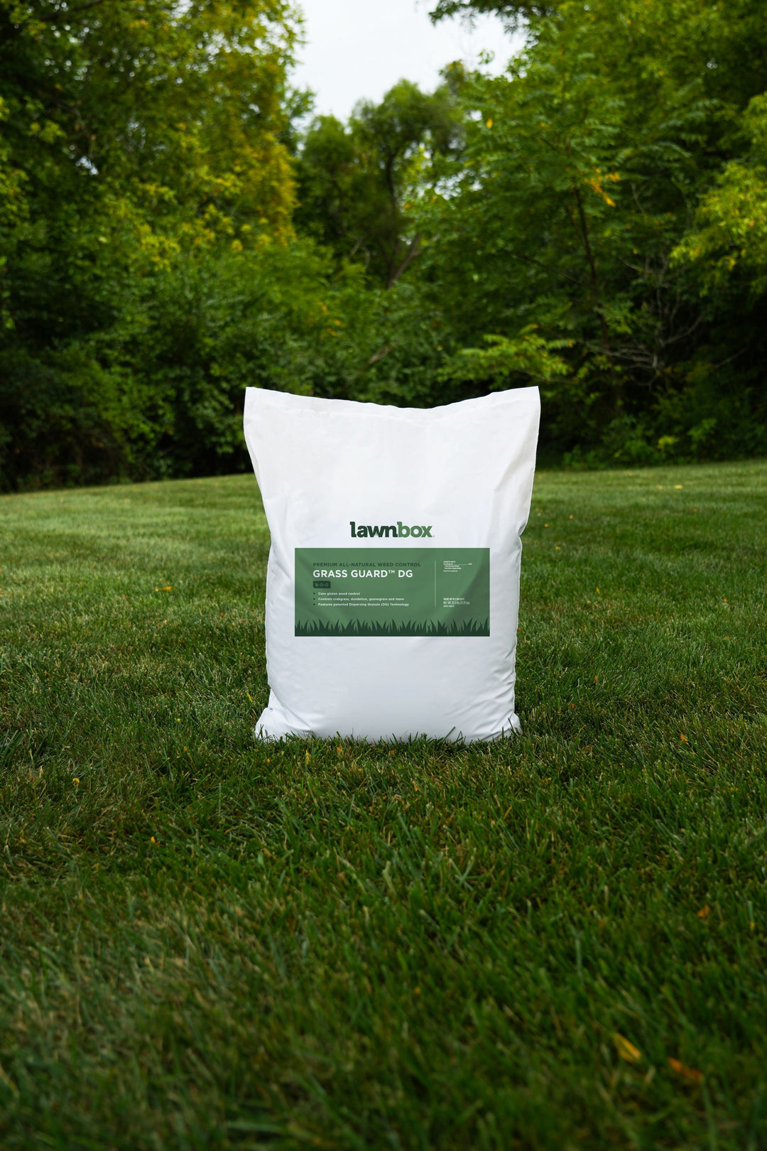 Corn Gluten Meal: A Natural Pre-Emergent
