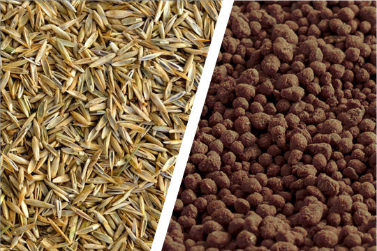 Can I Apply Pre-Emergent and Seed at the Same Time?