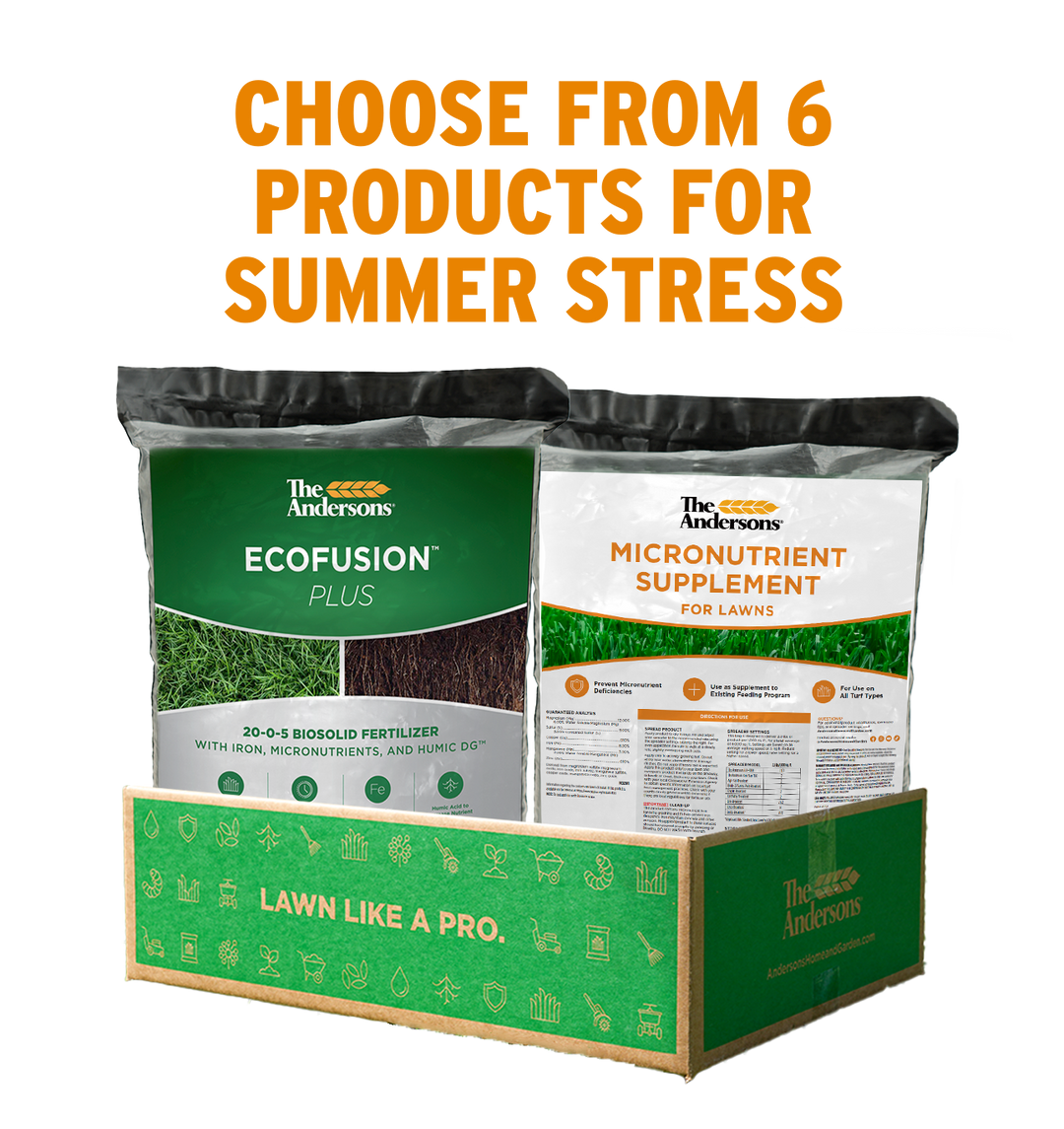 Summer Stress Bundle