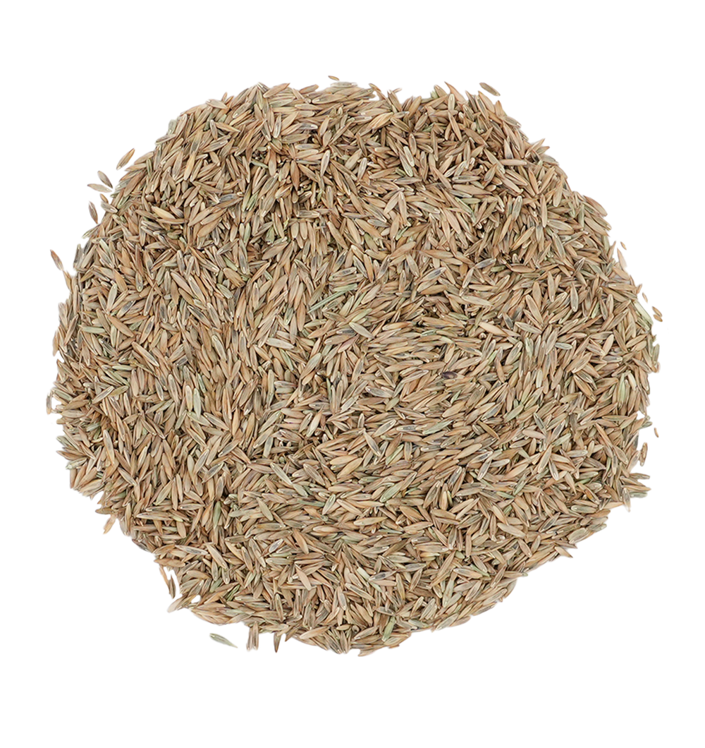 Pile of Drought Defy Mix Grass Seed