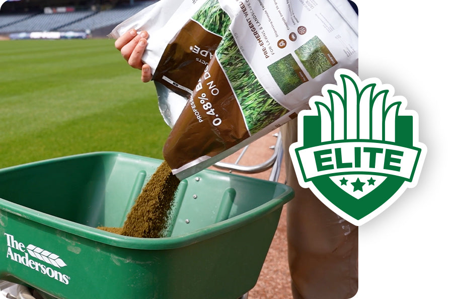 Person pouring grass seed from a bag into a green spreader with 'Elite' brand logo.