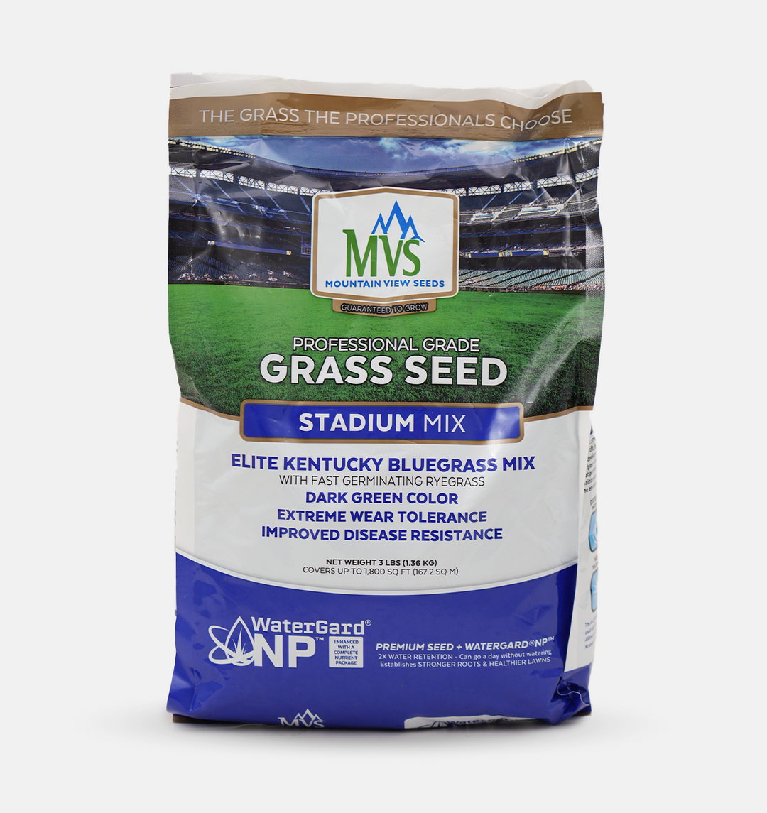 Stadium Mix Kentucky Bluegrass Seed Bag