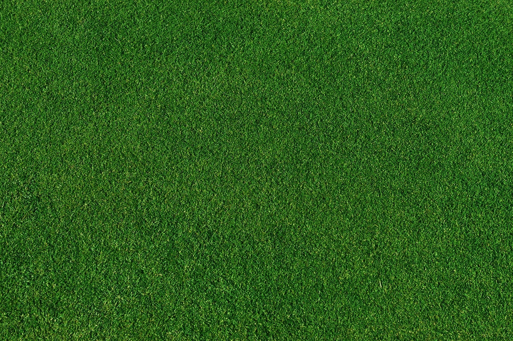 Bermudagrass Care Guide
