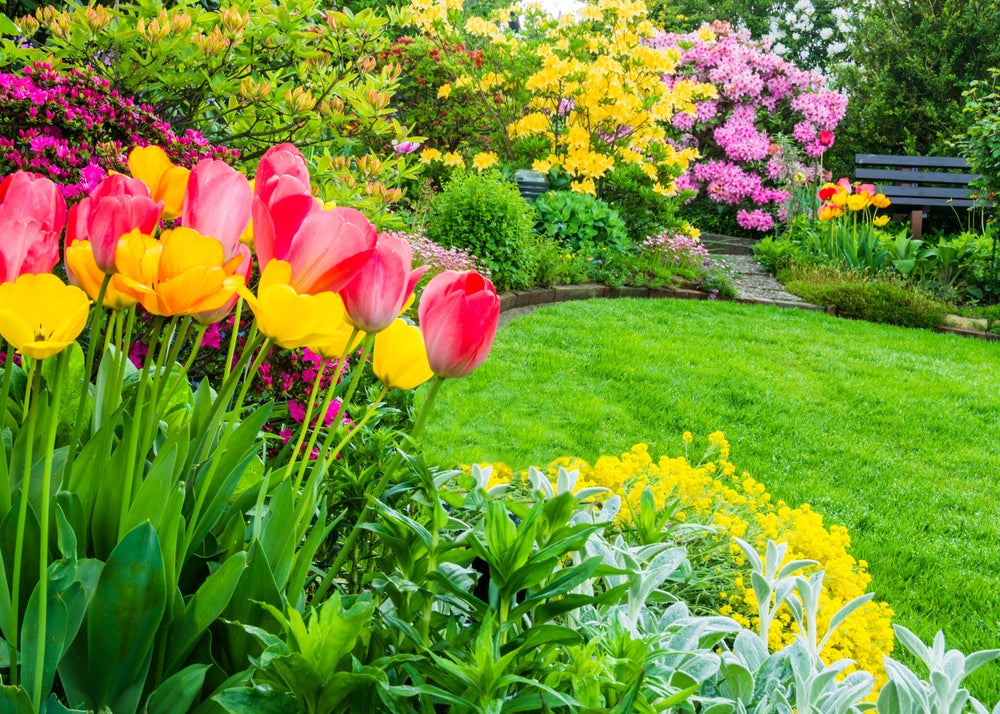 Get a Strong Start This Spring