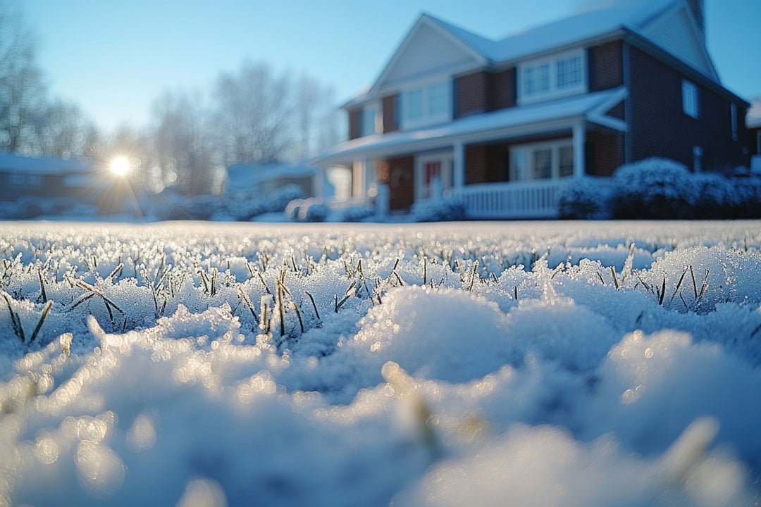 Bouncing Back: How to Fix Common Post-Winter Lawn Problems