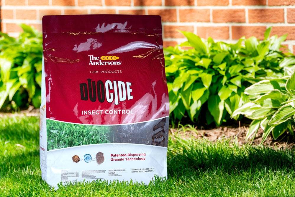 How to Control Lawn Insects Above and Below the Surface