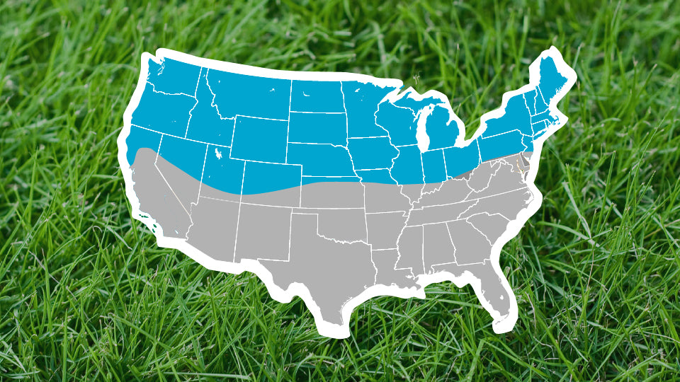 Cool Season Grass: Lawn Care Calendar