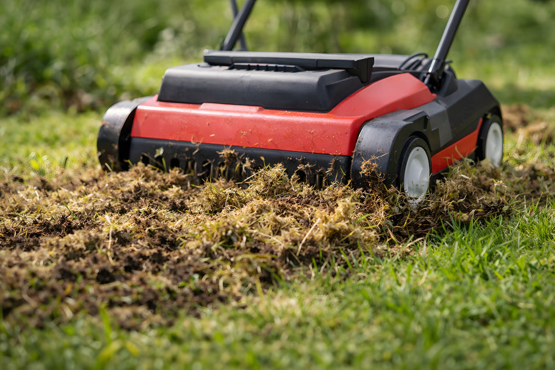 Spring Lawn Prep: Dethatch, Aerate, Then Prevent Weeds