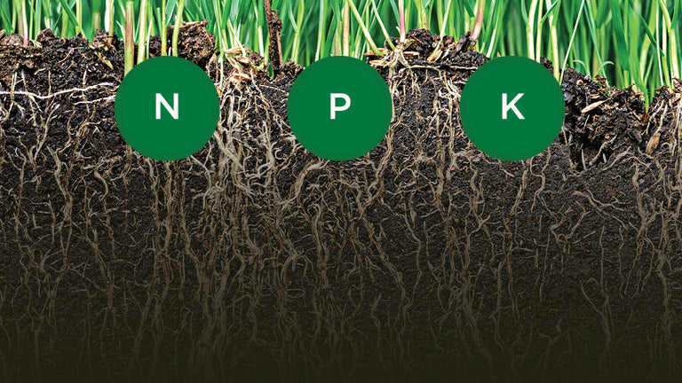 What is N-P-K?