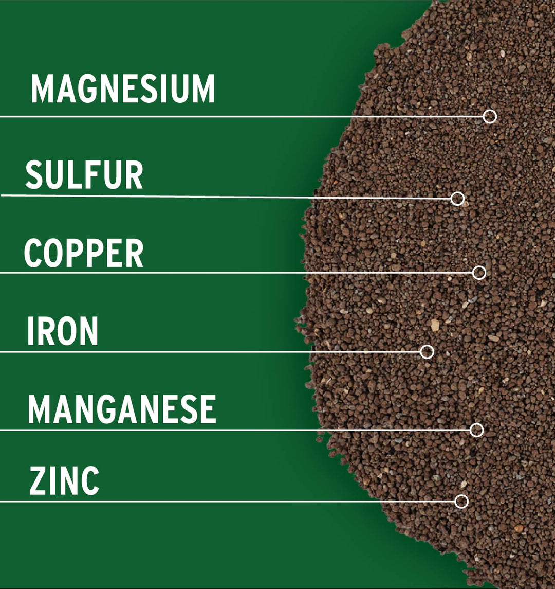 The Power of Micronutrients in Lawn Care