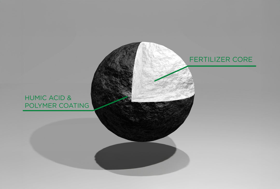 Introducing CarbonCoat® Technology