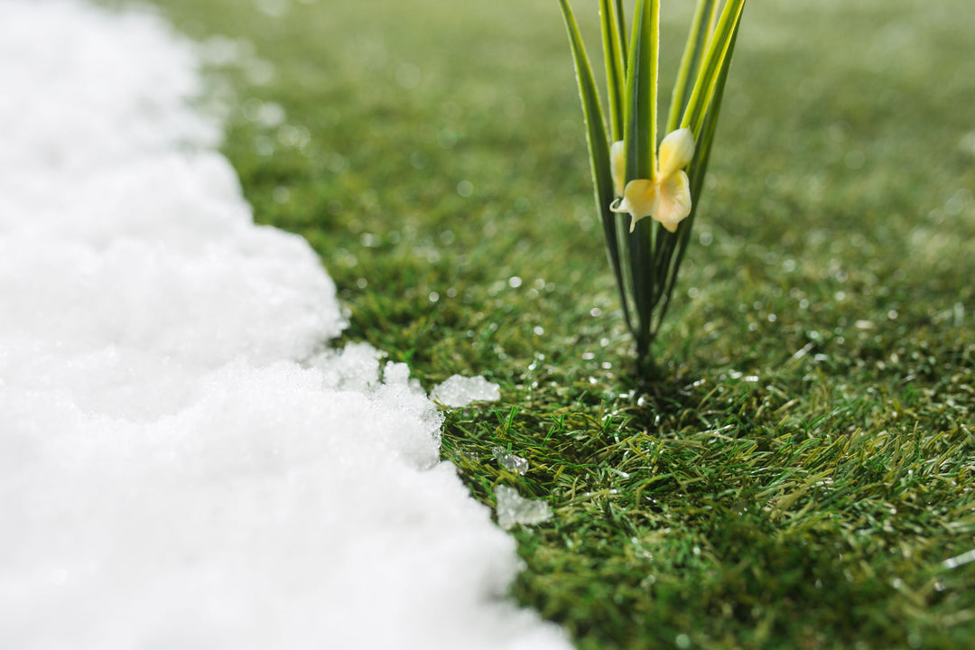 Why Winter Planning Leads to a Better Spring Lawn