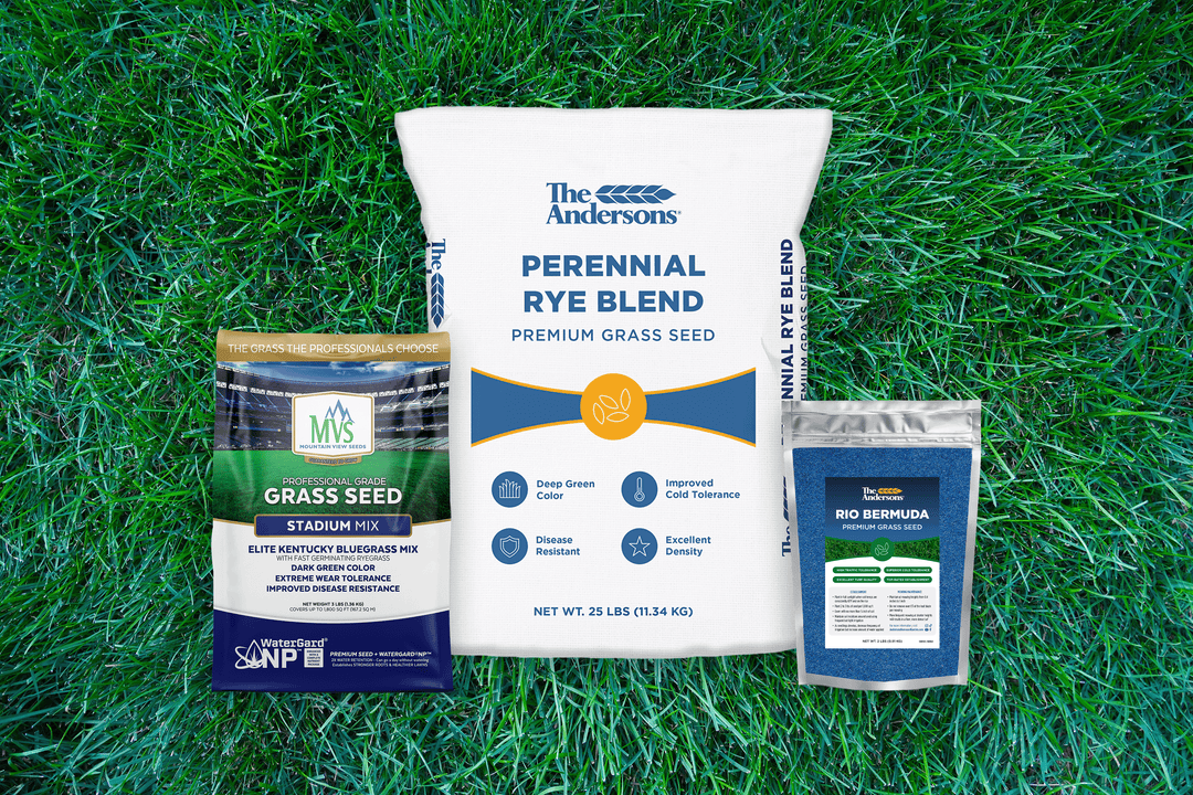 The Andersons Premium Grass Seed