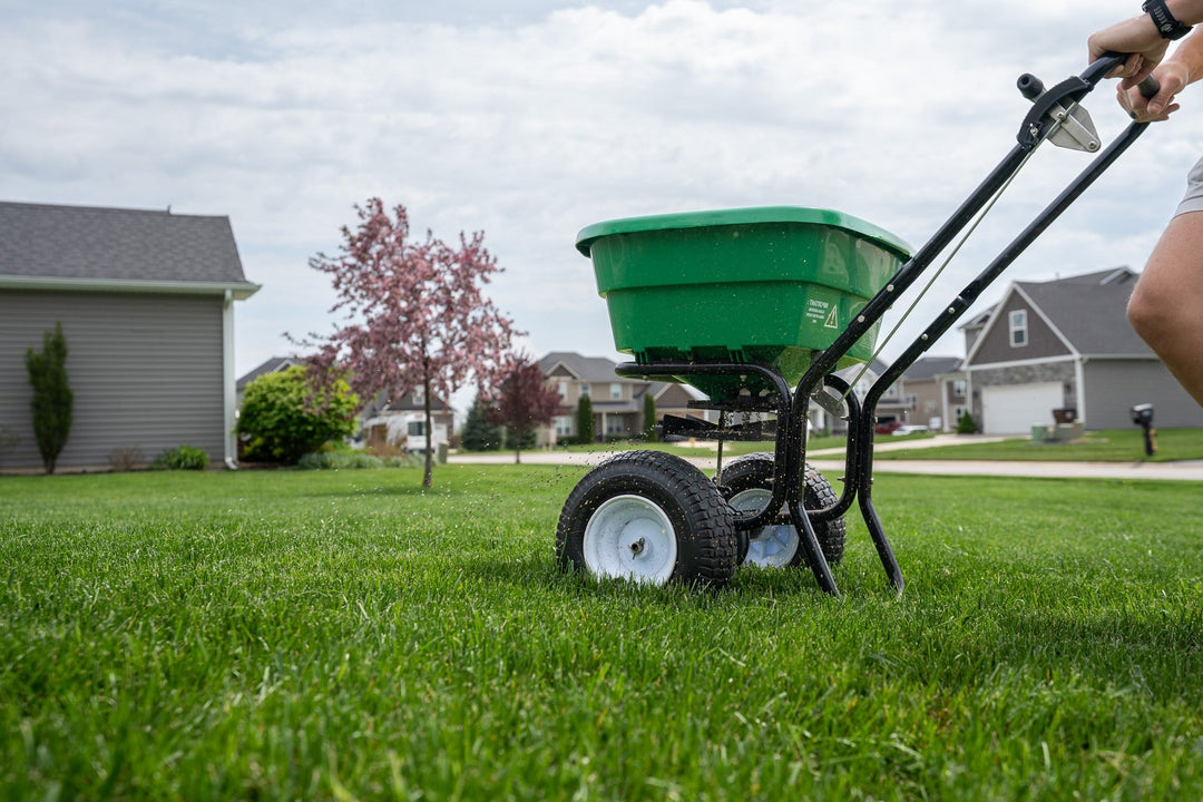 Should I Fertilize My Lawn in the Summer?