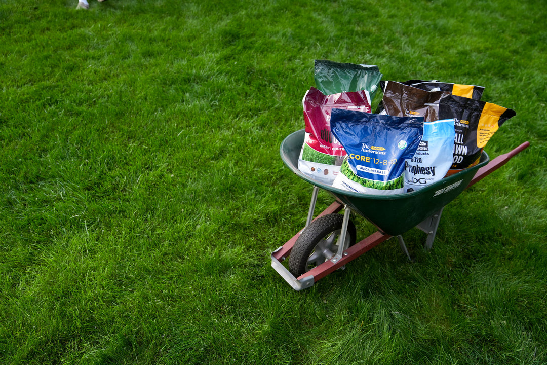 End-of-Summer Lawn Care Guide