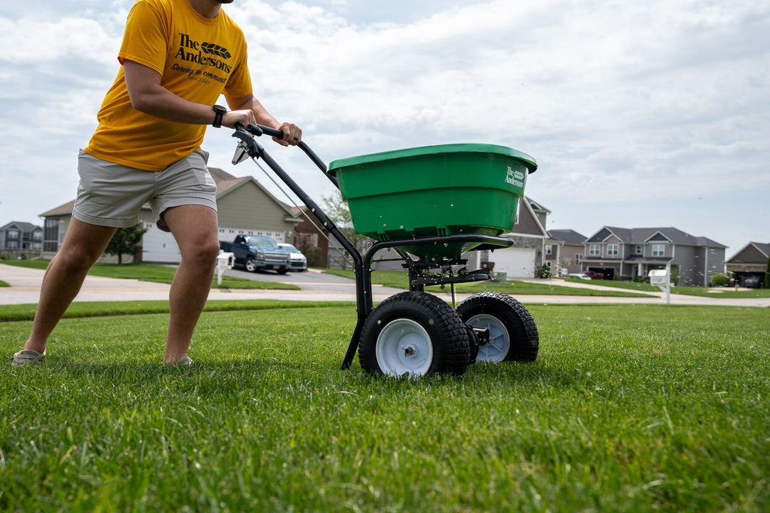 Lawn Care in the Heat: What to Stop and What to Scale Back