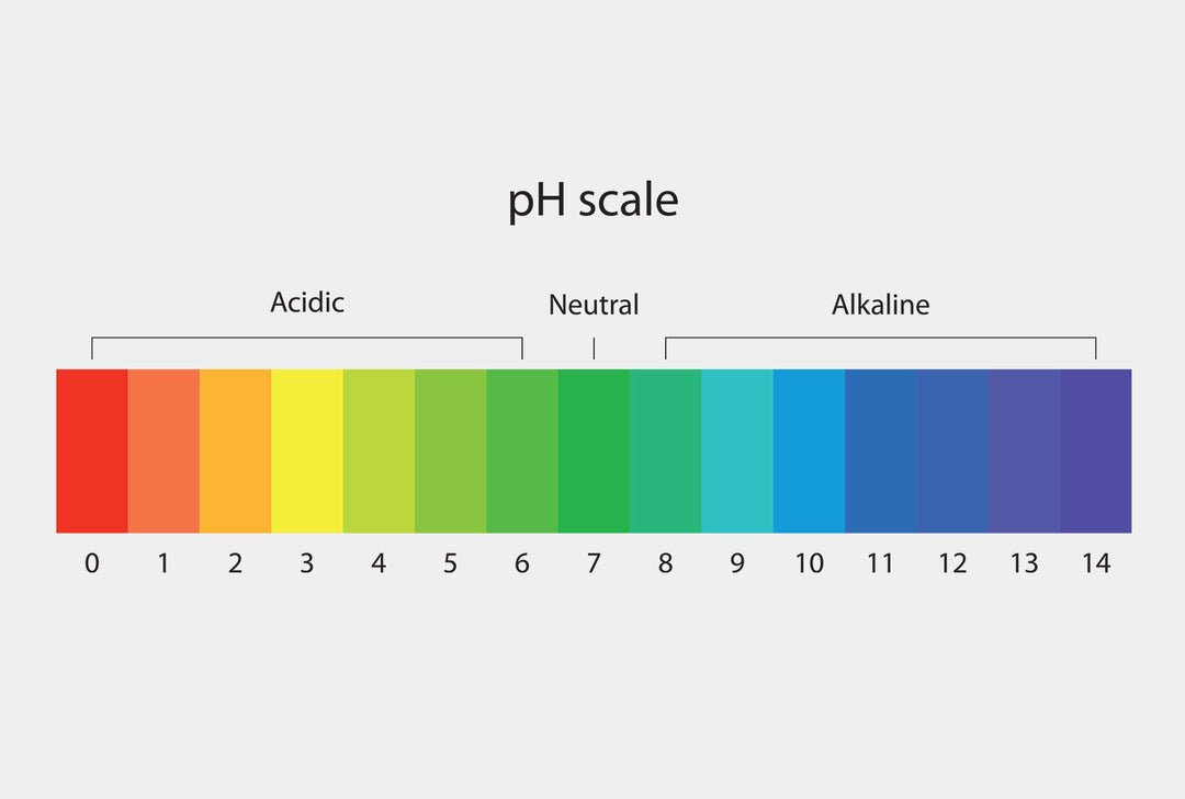 The Essential Guide to Soil pH