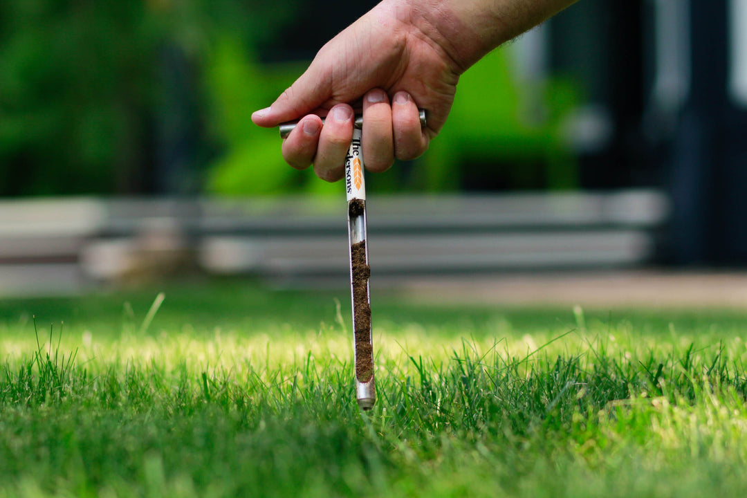 Soil Testing for Lawns: Why It’s Essential for Healthy Grass