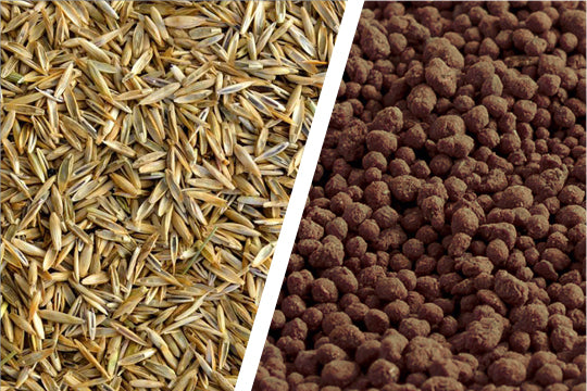 Can I Apply Pre-Emergent and Seed at the Same Time?