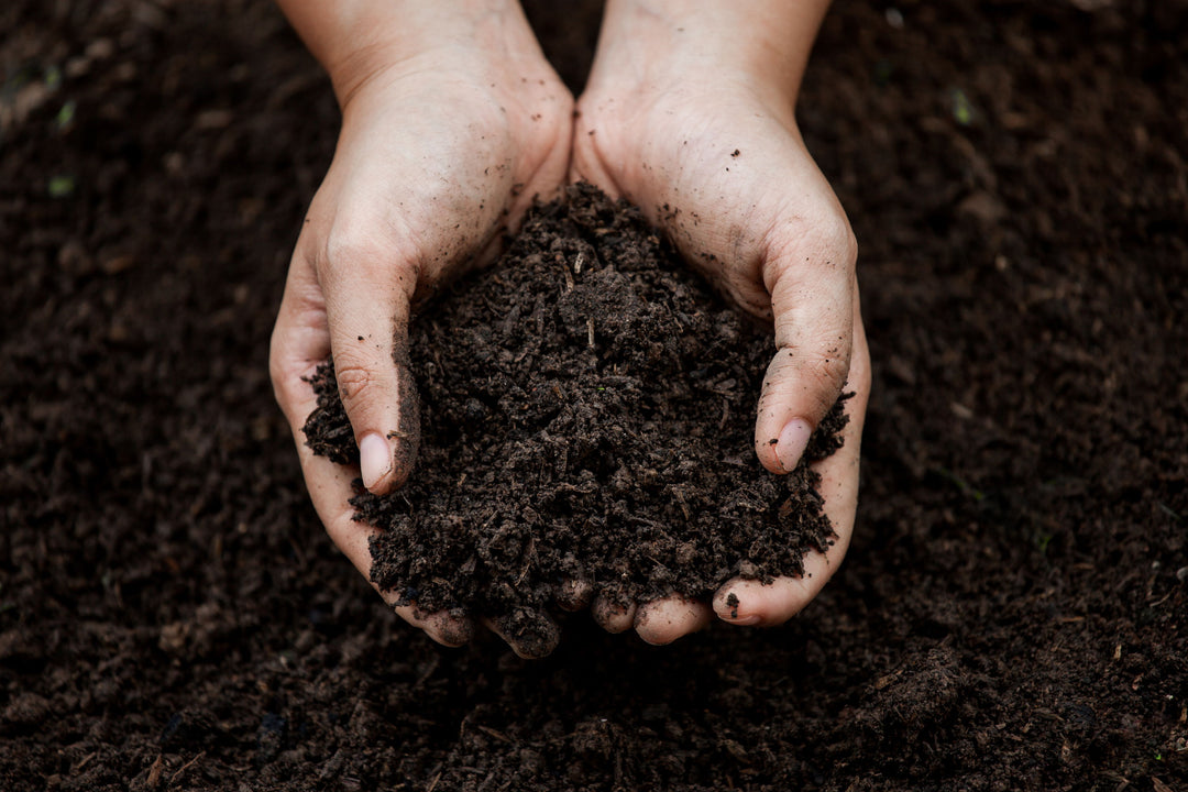 Choosing the Best Soil Amendment