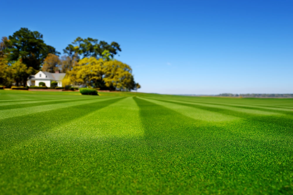 Get Golf Course Quality Results at Home with DG Technology