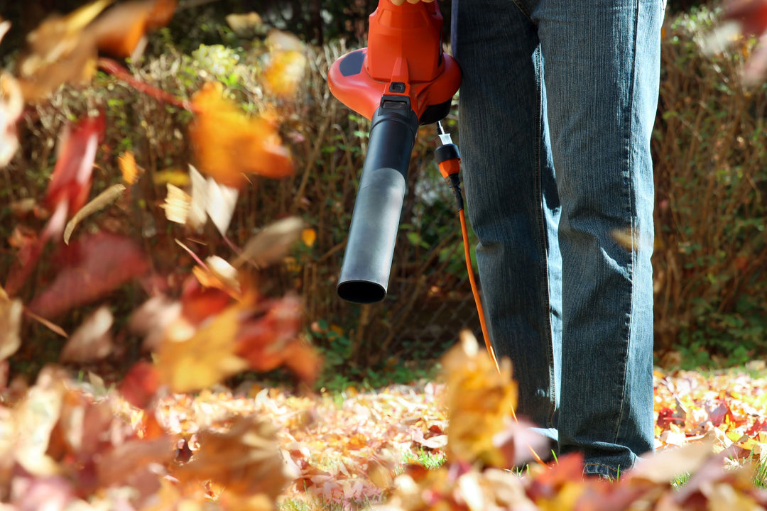 Fall Lawn Care Tips