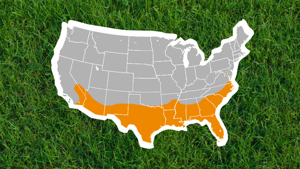 Warm Season Grass: Lawn Care Calendar