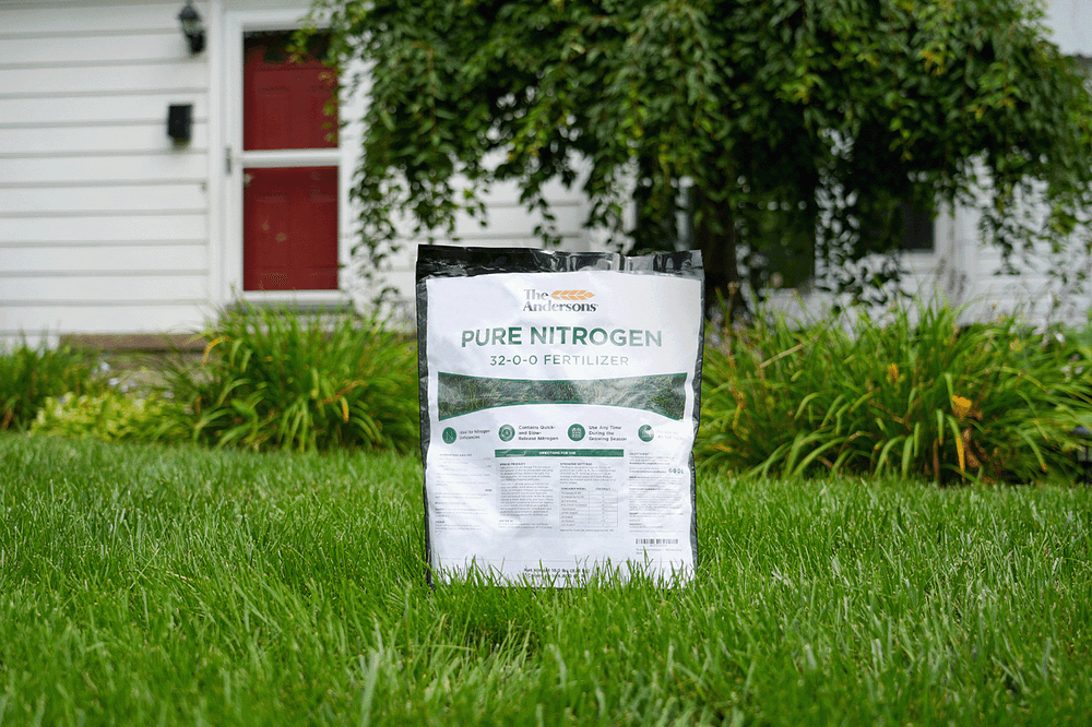 Unveiling the Role of Nitrogen in Lawn Care