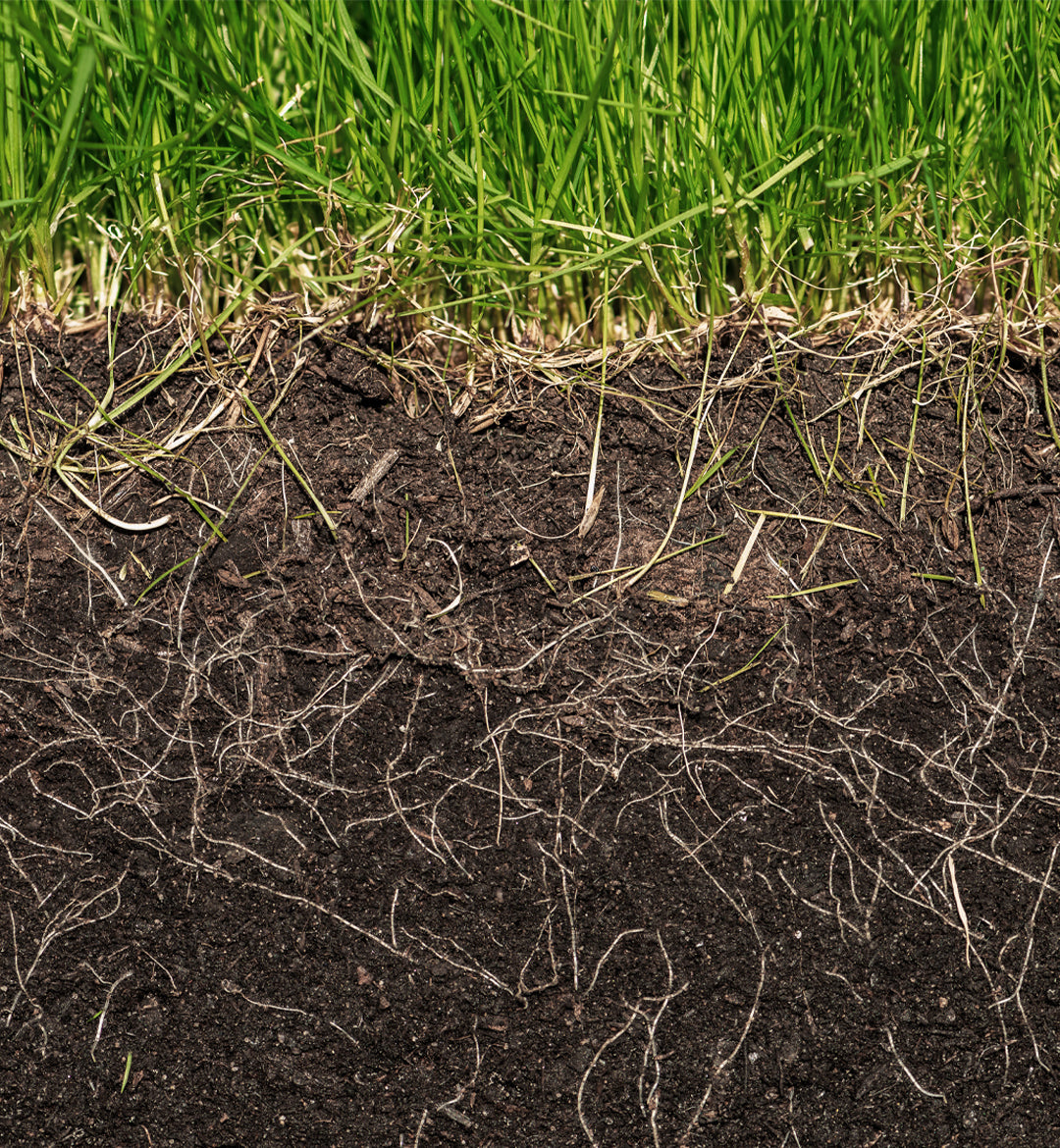 SHOP APP > Soil Amendments