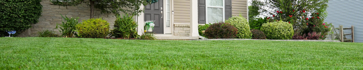 Lawn > Specialty Products