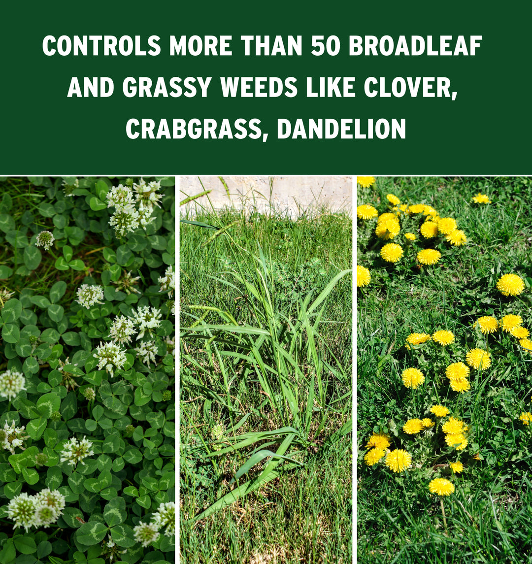 meso 4sc select herbicide Meso 4 SC at The Andersons