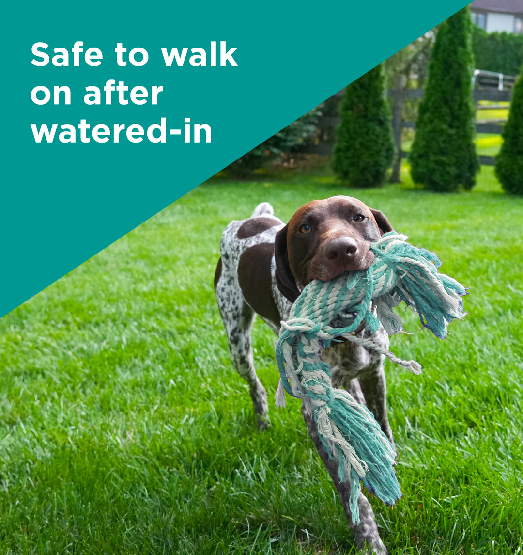 Pet Safe 28-0-6