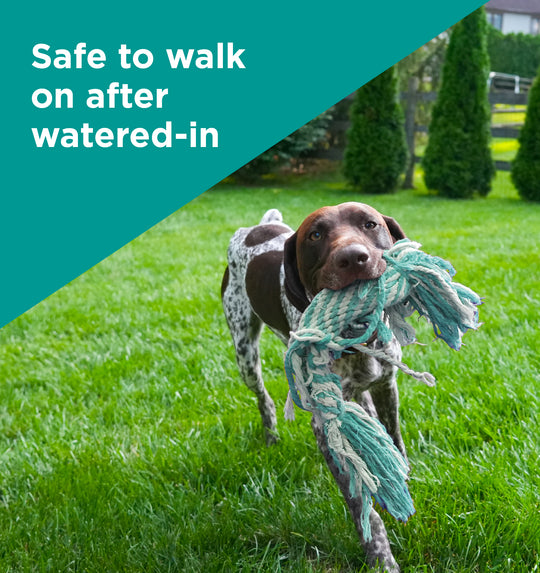 Pet Safe 28-0-6
