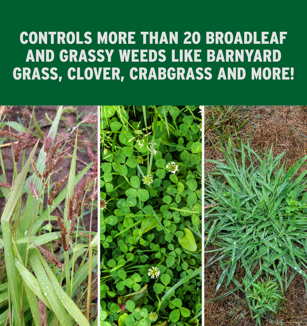 Quintessential® Selective Herbicide