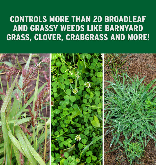 Quintessential® Selective Herbicide