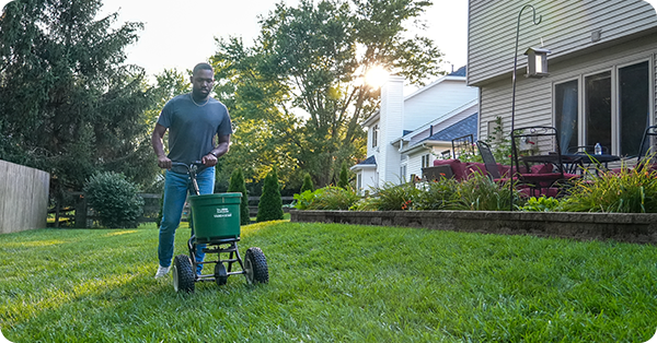 Applying Spreading Fertilizer to lawn with yarstar spreader photo with round corners