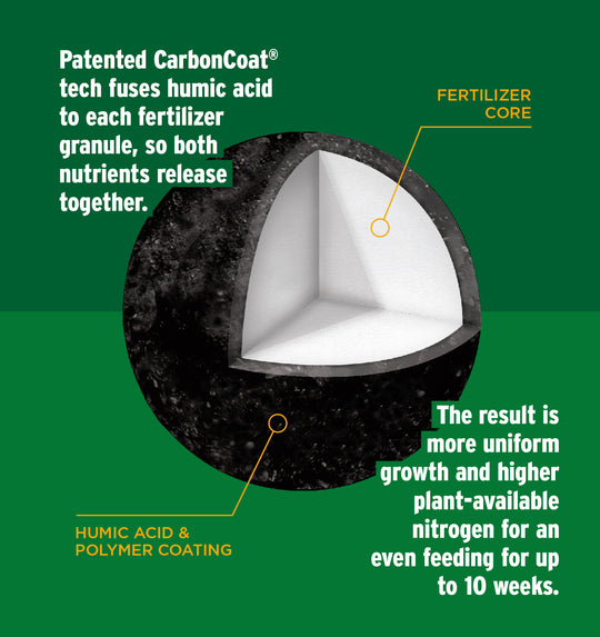 CarbonCoat granule callout 2 