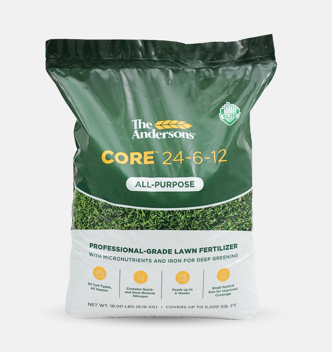bag of core 24-6-12 in studio