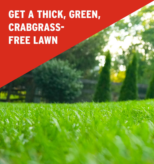 crabgrass preventer lawn fertilizer callout