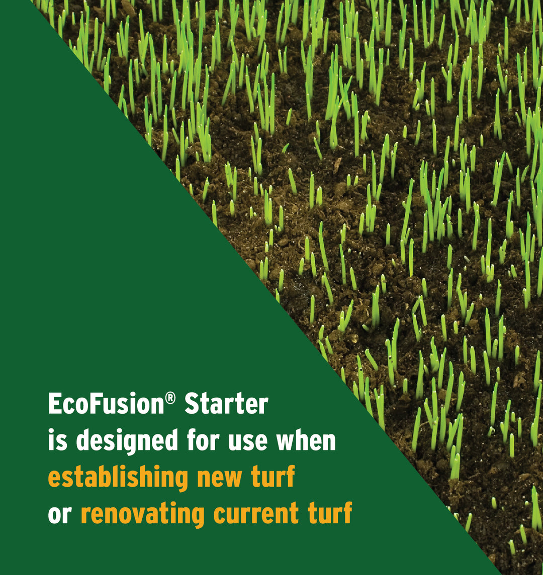 fertilize after planting grass seed EcoFusion® Starter 16-21-4 – Andersons Lawn