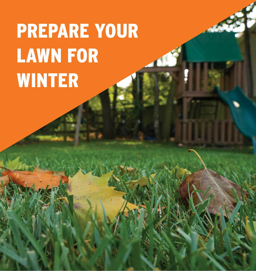 prepare your lawn for winter