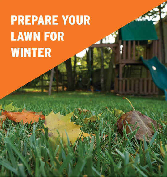 prepare your lawn for winter