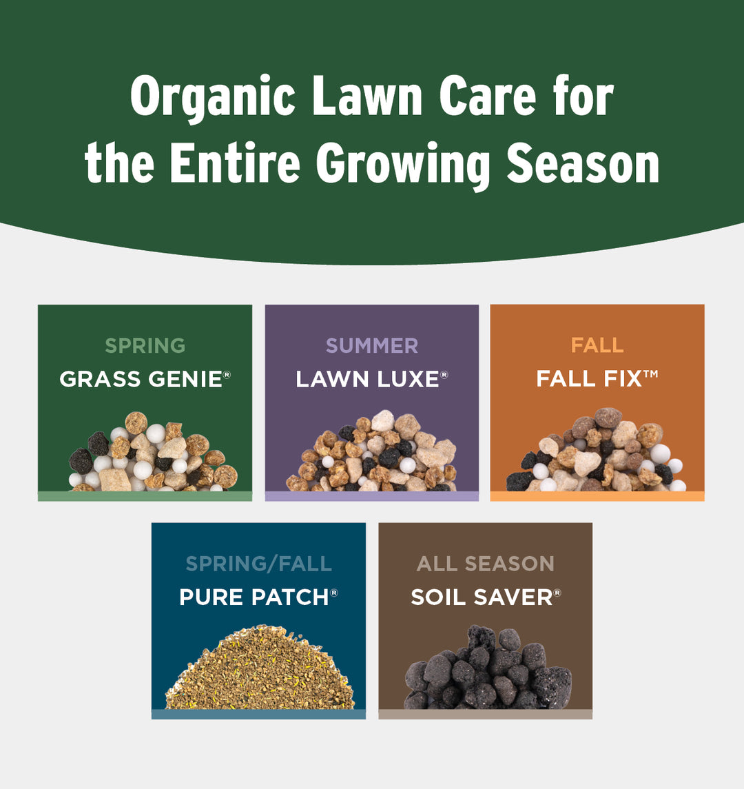 Organic Lawn Care for the Entire Growing Season