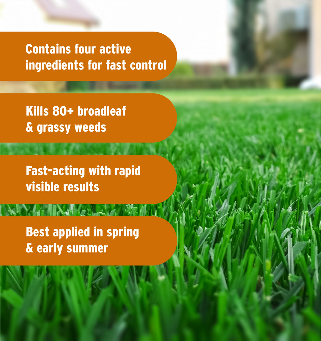 parallel plus herbicide Pbi Gordon Q4 Plus Turf Herbicide 1 QT